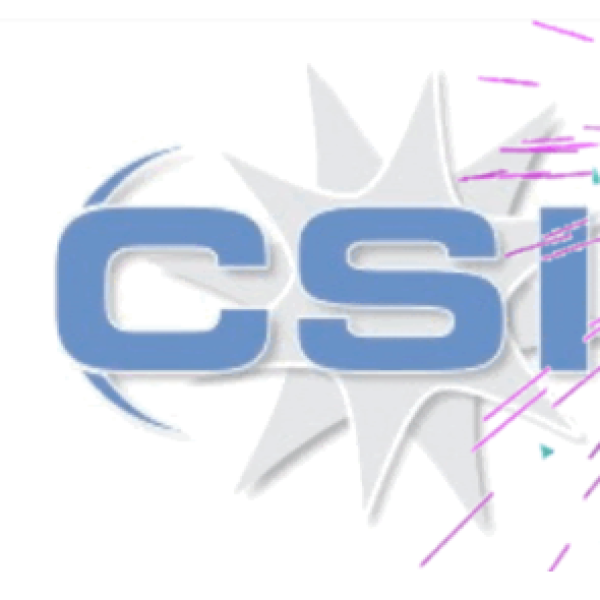 CSI Awards