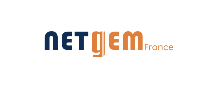 Logo Netgem France